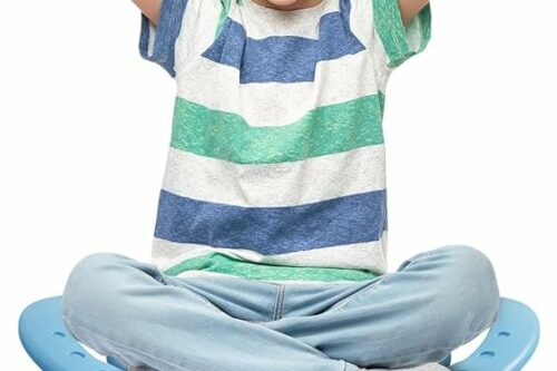 Brelley Sensory Spinning Chair Upgraded Version for Autism, Autistic Kids Swivel Chair, Sensory Activity Toy for Toddlers, Physical Coordination Training Indoor & Outdoor Autism Sensory Products-AUTO WIN 25/04