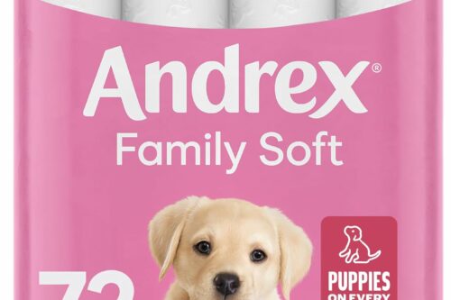 Andrex Family Soft Toilet Roll - 72 Toilet Rolls, 2-Ply, Bulk Buy, Fragrance Free, FSC Certified AUTO-WIN