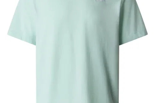 The North Face Men's Evolution Simple Dome Regular T-Shirt-AUTO WIN 22/04