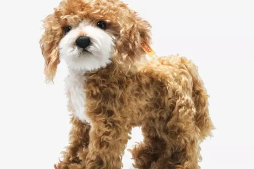 STEIFF Paddy mohair cockapoo soft toy 27cm-AUTO WIN 21/04