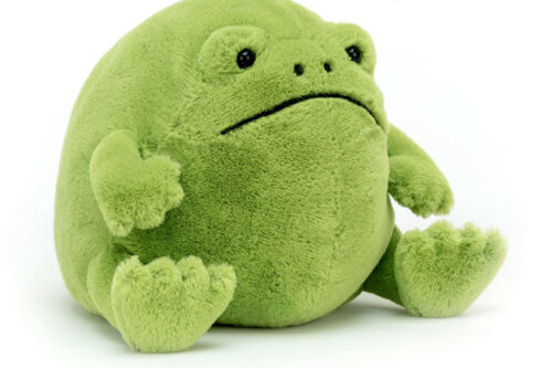 JELLYCAT Ricky Rain Frog AUTO-WIN 08/04