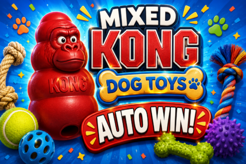 MIXED KONG DOG TOYS - AUTO WIN 13/05
