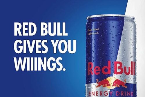 Red Bull Energy Drink 250 ml x12x2 AUTO-WIN 30/05
