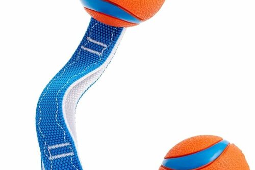 Chuckit! Ultra Duo Tug Dog Toy, 6 cm, Medium-AUTO WIN 03/05