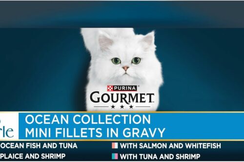 GOURMET Perle Ocean Collection Adult Wet Cat Food Mini Fillets in Gravy Tuna, Shrimp, Plaice, Salmon, White fish, Ocean Fish 40 x 85g Pouches AUTO-WIN 16/05