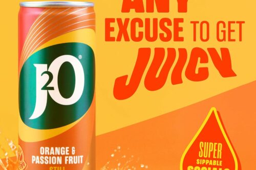 x3J2O Fruit Juice, Orange and Passion Fruit, 250ml Cans (Pack of 12X3)