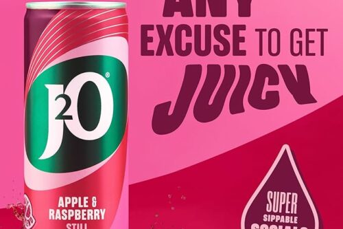 x3 J2O Fruit Juice, Apple and Raspberry, 250ml Cans (Pack of 12x3) AUTO-WIN 14/05