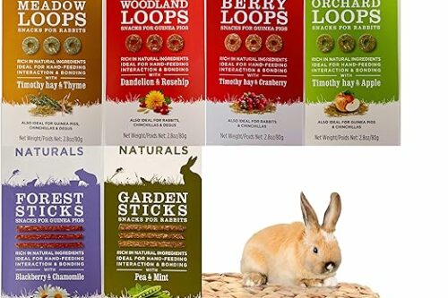 Rabbit Food Treats include Loops 80g x4 | Sticks 60g x2 | Pack of 6 Mixed Variety Small Animal Snacks with Natural Woven Chew Bed Mat Toy for Rabbits AUTO-WIN 10/05