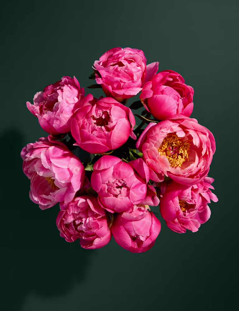 abundance-of-coral-peonies-bouquet-auto-win-10-05