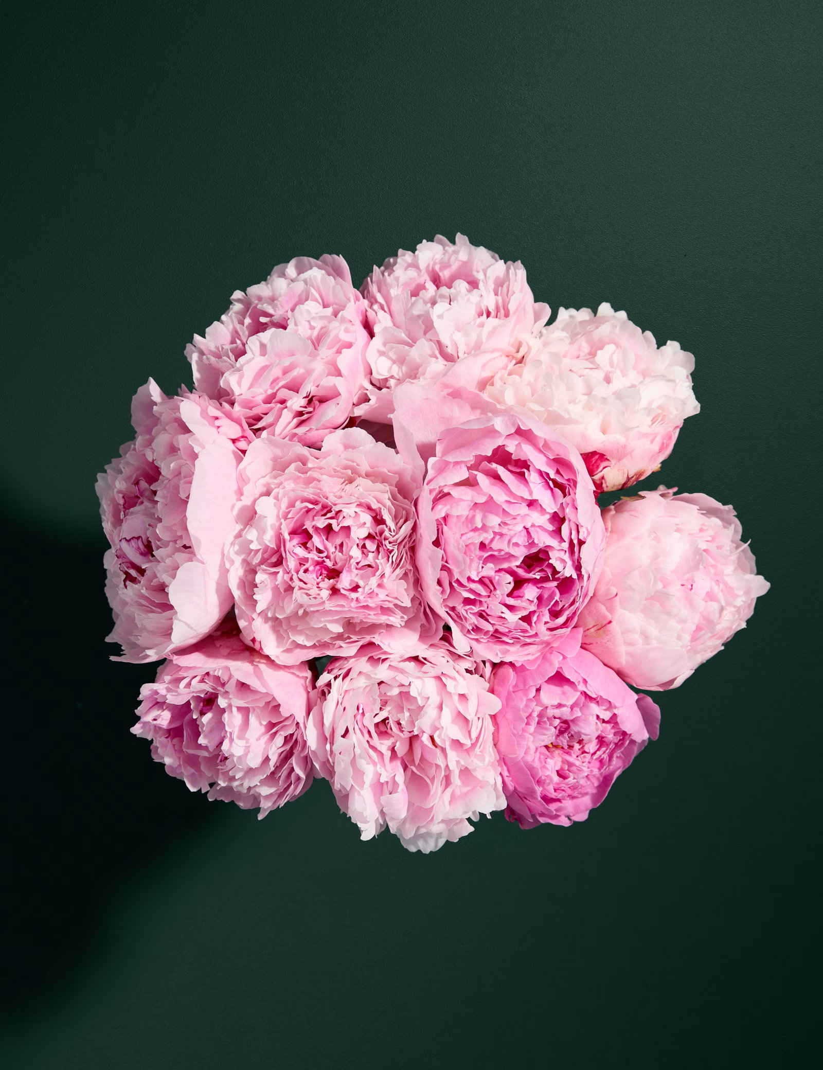 M&S Seasonal Peony Bouquet-AUTO WIN 15/05