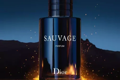 DIOR SAUVAGE PARFUM, 60ML-AUTO WIN 14/06