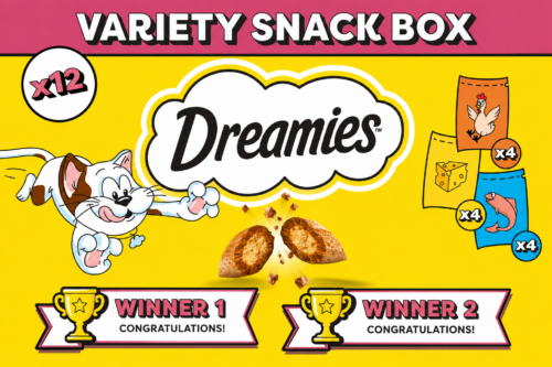 2 WINNERS DREAMIES – CAT TREATS – 12 X 60G – VARIETY SNACK BOX – 12 POUCHES-AUTO WIN 06/06
