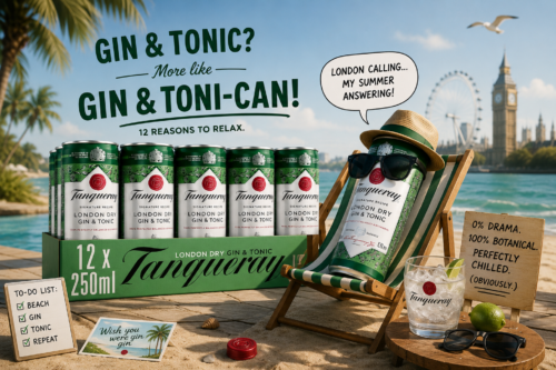 Tanqueray London Dry Gin & Tonic| 12 x 250ml | Pre-Mixed Cans-AUTO WIN 18/06