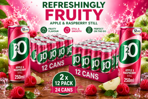 J2O Fruit Juice, Apple and Raspberry, 250ml Cans (Pack of 12x2)