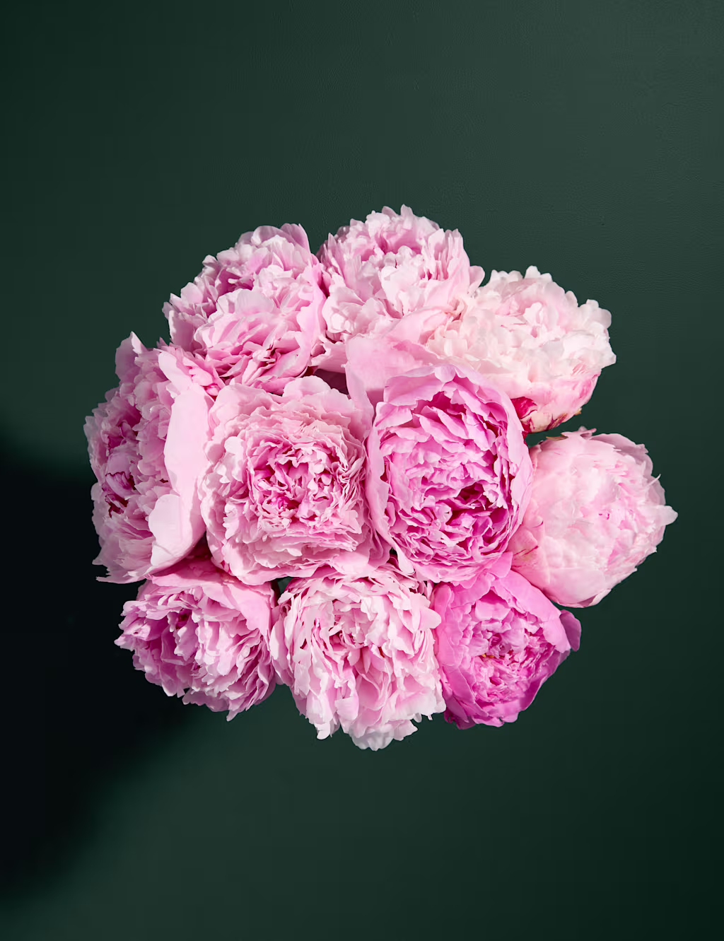 Seasonal Peony Bouquet-AUTO WIN 12/06