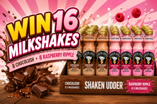 16 MILKSHAKES SHAKEN UDDER AUTO-WIN 18/06