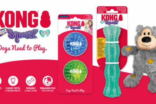 KONG DOG TOY Bundle-AUTO WIN 28/07
