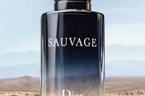 DIOR SAUVAGE SPRAY EAU DE TOILETTE, 60ML-AUTO WIN 04/07