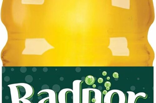 RADNOR FIZZ APPLE NO ADDED SUGAR JUICE DRINK 24X330ML MULTIPACK-AUTO WIN 24 /07