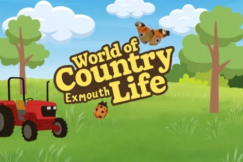 FAMILY SUPER SAVER FOR WORLD OF COUNTRY LIFE- AUTO WIN 25/07