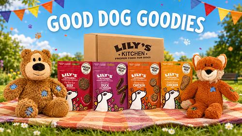Good Dog Goodies-AUTO WIN 13/08