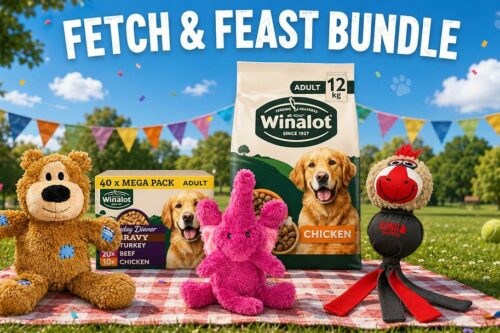 Fetch & Feast Bundle -AUTO WIN 22/09