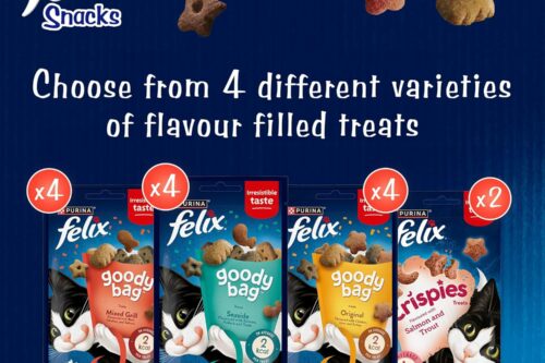 FELIX Mixed Snack Box Adult Cat Treats Pack 810g-AUTO WIN 28/08