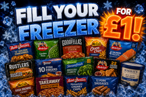 FILL YOUR FREEZER  FOR £1! AUTO-WIN 27/08