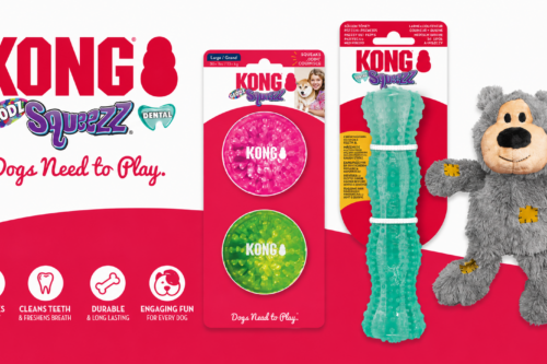 KONG DOG TOY Bundle-AUTO WIN 28/08