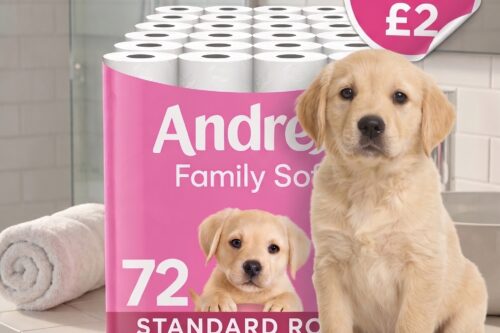ANDREX FAMILY SOFT TOILET ROLLS – 72 TOILET ROLL PACK – AUTO WIN 24/09