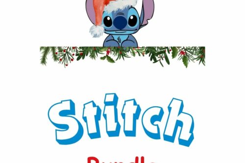 Disney Stitch Bundle-AUTO WIN 25/09