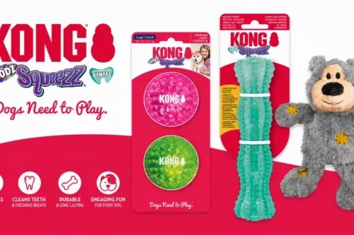 KONG DOG TOY Bundle-AUTO WIN 11/09