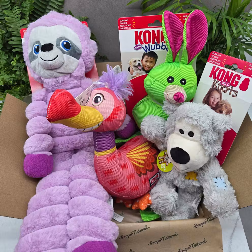 KONG Toy Mystery Box-AUTO WIN