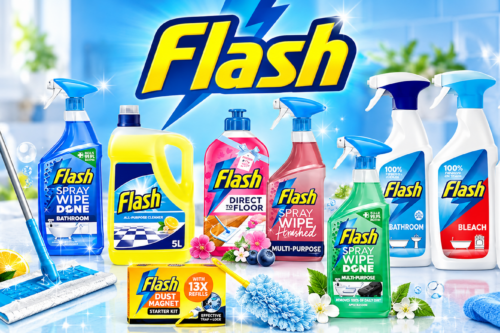Flash Cleaning Bundle-AUTO WIN 17/10