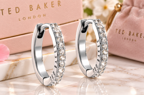 TED BAKER HEPLIE CRYSTAL HOOP EARRINGS AUTO-WIN 20/10