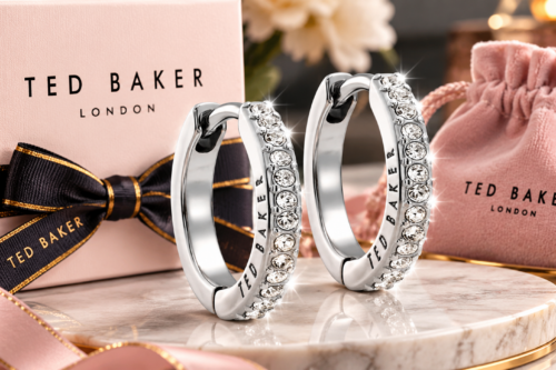 TED BAKER HEPLIE CRYSTAL HOOP EARRINGS-AUTO WIN 08/10